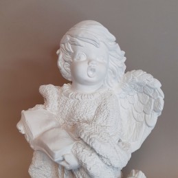 Angel de escyola