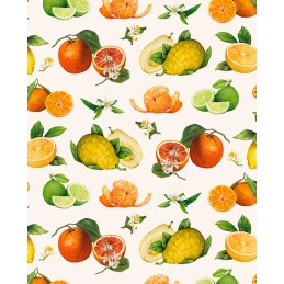 Papel decoupage con motivo de citricos
