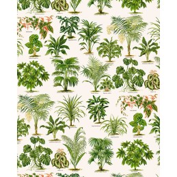 PAPEL DECOUPAGE TASS...