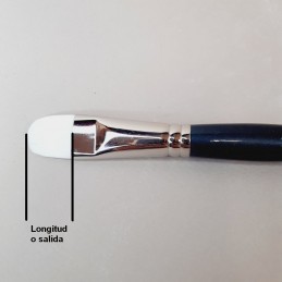 La salida de un pincel es la longitud de la fibra desde la virola hasta la punta