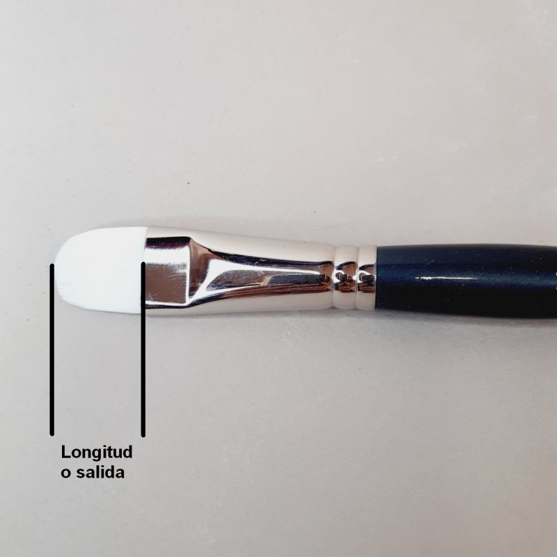 La salida de un pincel es la longitud de la fibra desde la virola hasta la punta