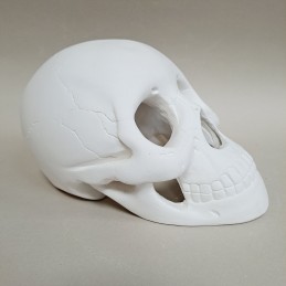 Figura de escayola calavera hueca vista lateral