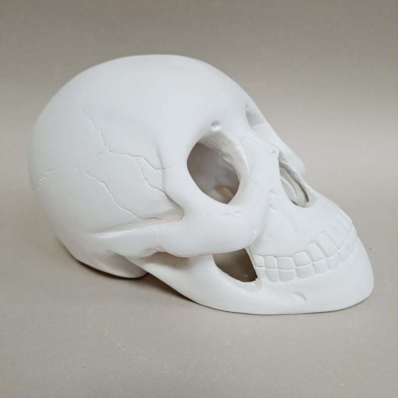 Figura de escayola calavera hueca vista lateral