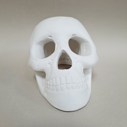 Figura de escayola calavera hueca vista frente