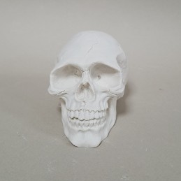 Figura de escayola calavera vista frente