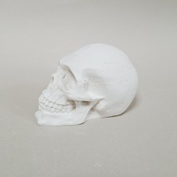 Figura de escayola calavera vista lateral