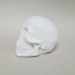 Figura de escayola calavera vista lateral