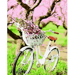 Pintar por números - Bicicleta