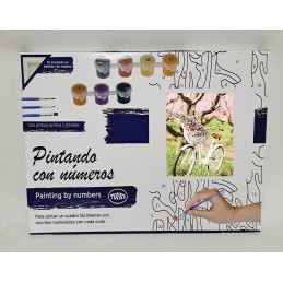Pintar por números - Bicicleta