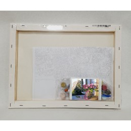 Colorear por números - Planta en ventana - detalle contenido