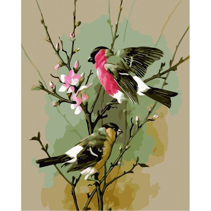 Pintar con números - Pájaros en rama