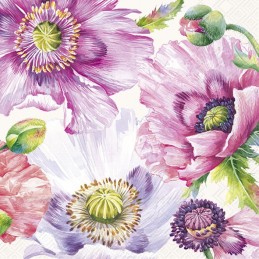 5 SERVILLETAS PARA...