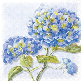 5 SERVILLETAS BONITAS LOREA