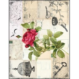 PAPEL DE ARROZ CADENCE...