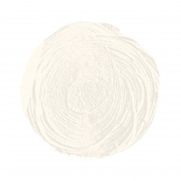 BLANCO ZINC SERIE 2 Nº 6 20 ML OLEO EXTRAFINO TITAN