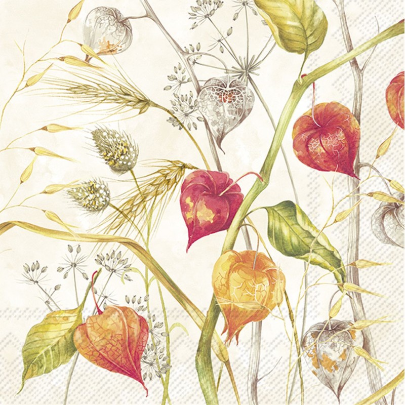 PAQUETE 20 SERVILLETAS LAMPIONA GARDEN