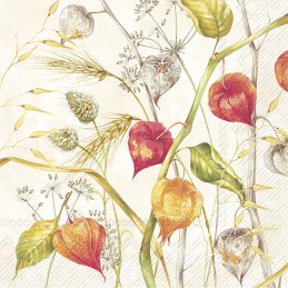 copy of PAQUETE 20...